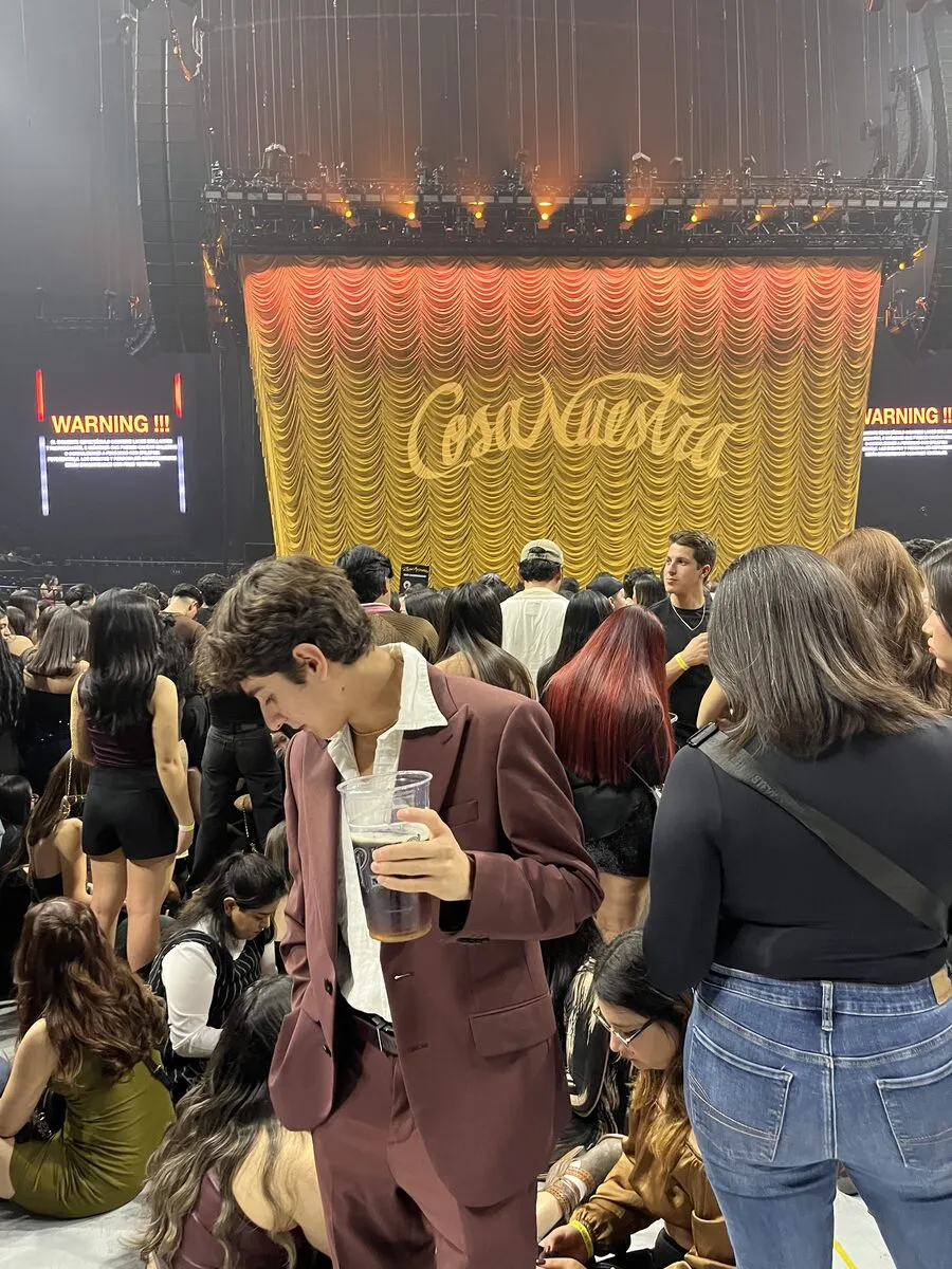 Concert crowd